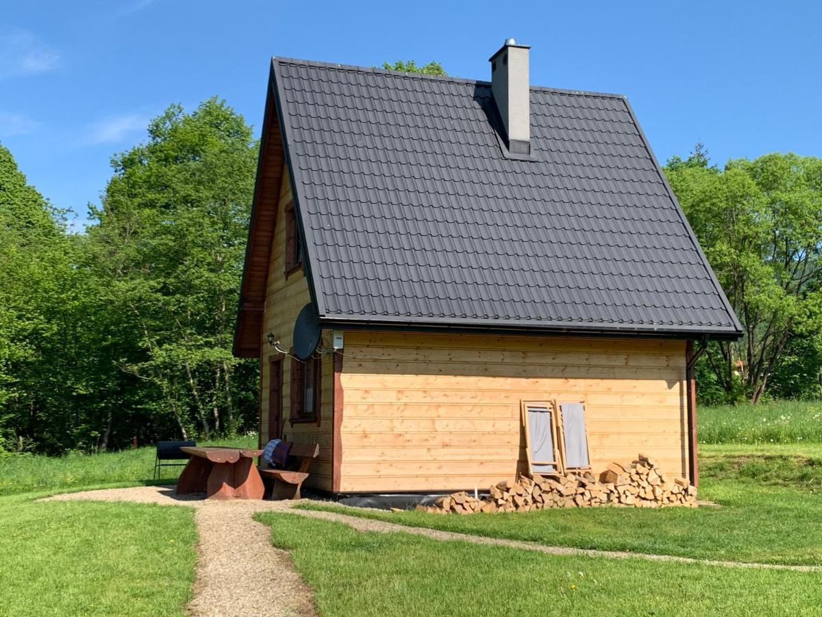 Dwernik Bukowina Bieszczady Villa Eksteriør billede
