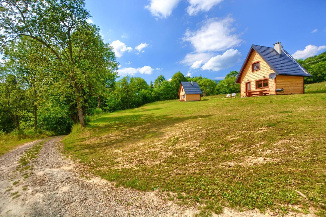Dwernik Bukowina Bieszczady Villa Eksteriør billede