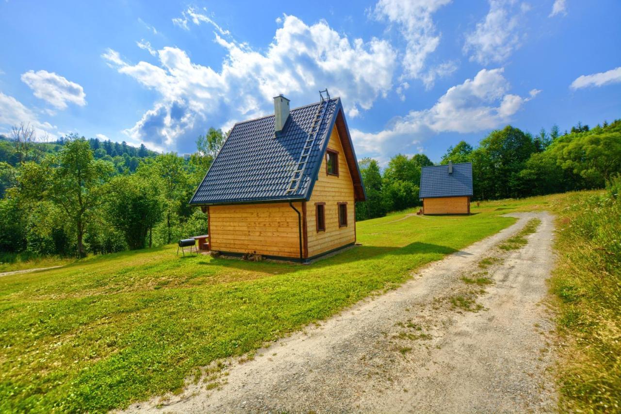 Dwernik Bukowina Bieszczady Villa Eksteriør billede