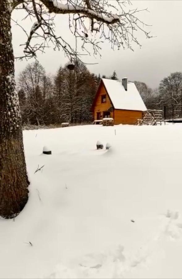 Dwernik Bukowina Bieszczady Villa Eksteriør billede